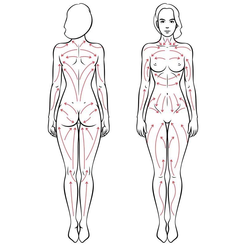 Schematische Zeichnung der Lymphbahnen am menschlichen Körper mit Pfeilrichtungen für die manuelle Lymphdrainage